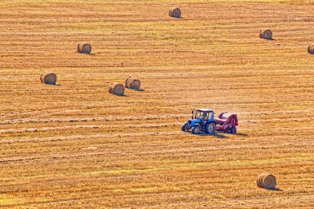 С высоты птичьего полета!