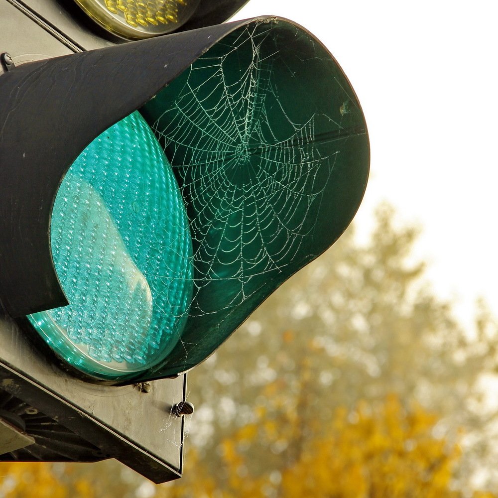 Photograph by Олег Еловиков