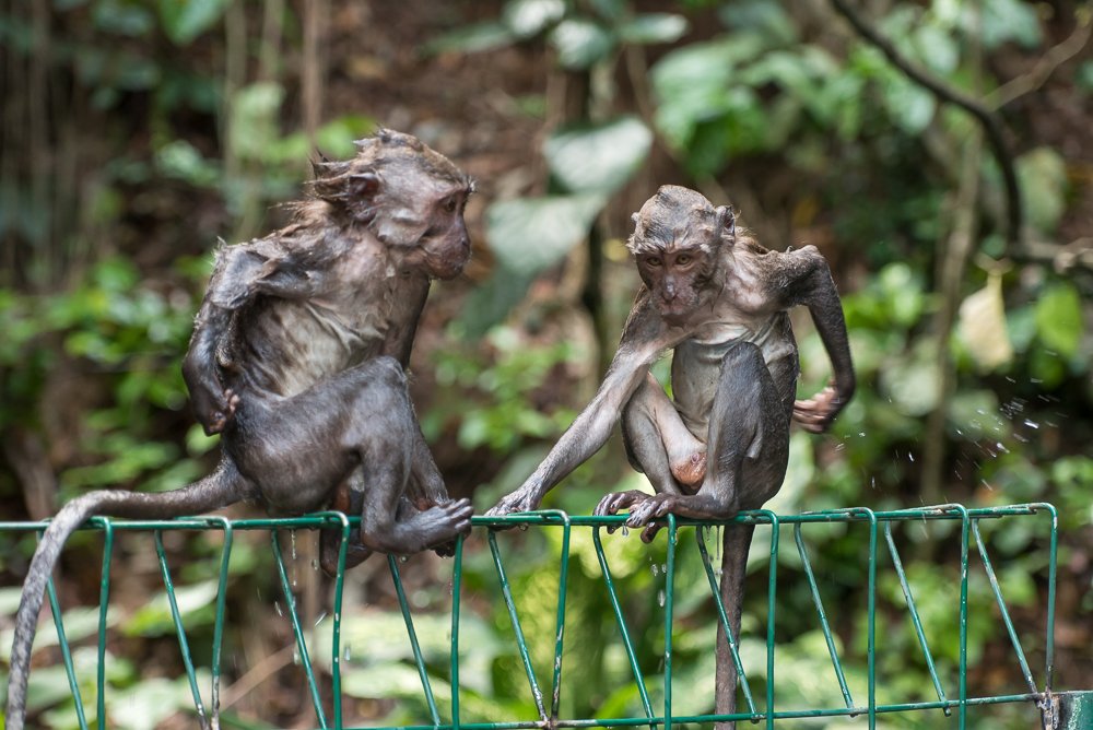 Photograph by Jerzy Safijański
