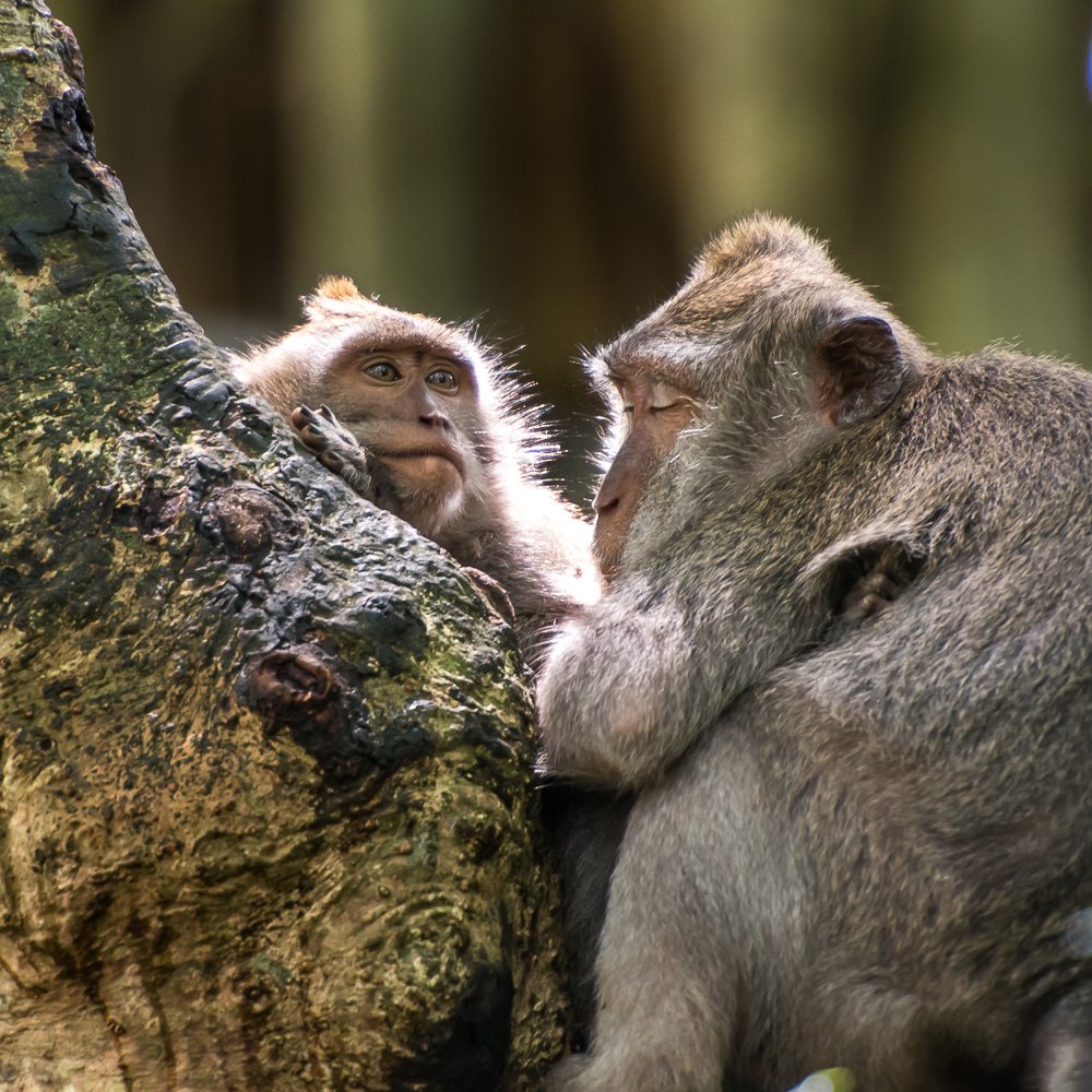 Photograph by Jerzy Safijański