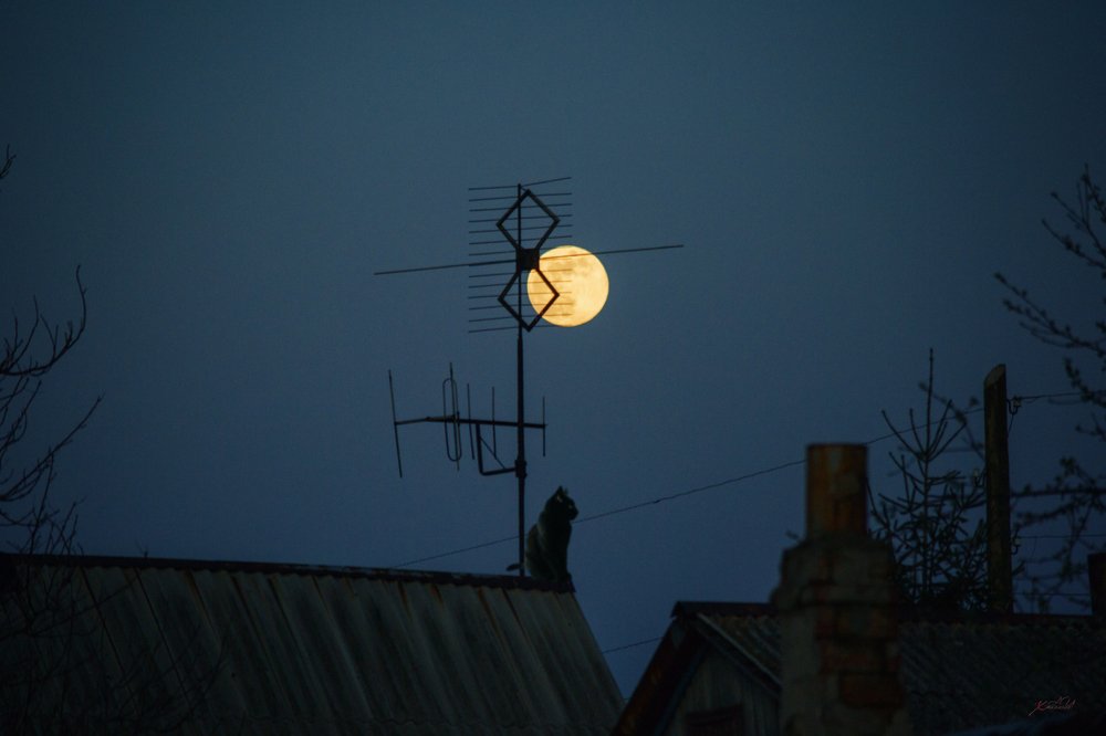 Photograph by Алексей хохлачёв