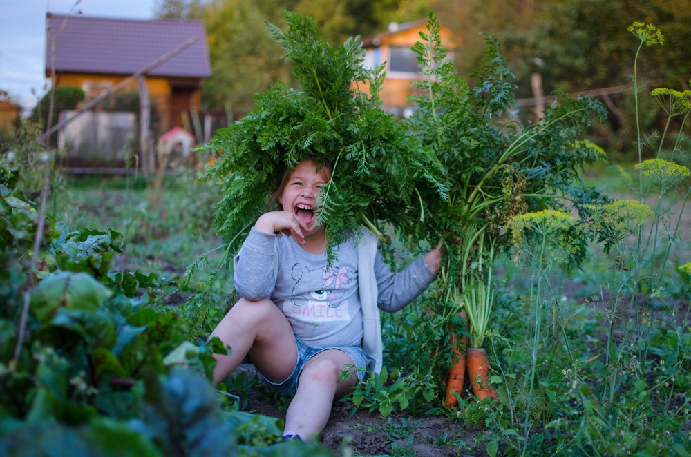 Photograph by Елизавета Фирстова