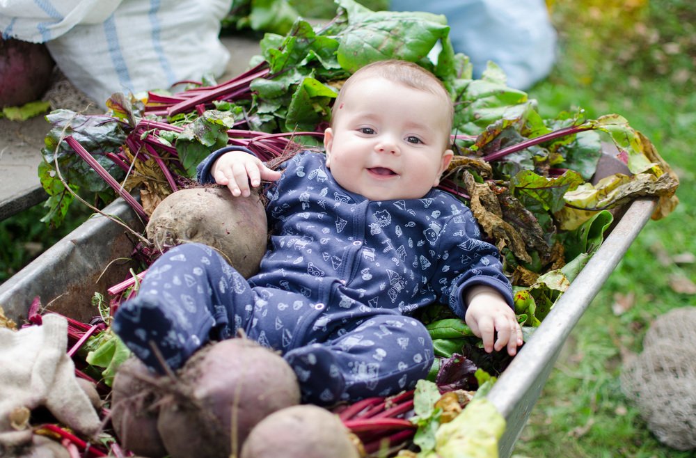 Photograph by Елизавета Фирстова