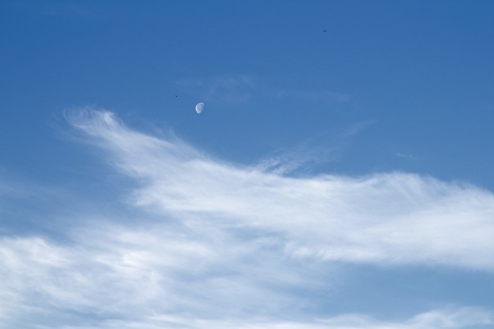 Гляжу я на небо!