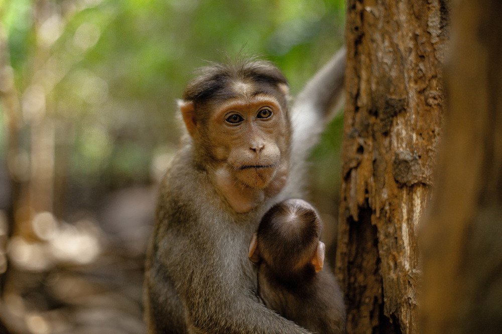 Photograph by victoria chaikova