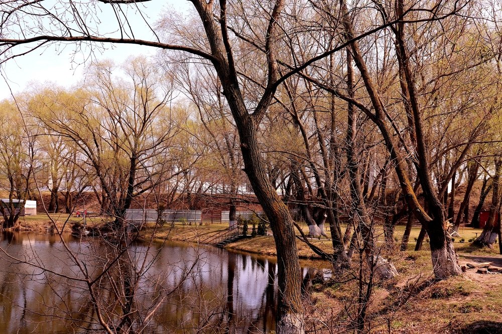 Photograph by Ольга Манукян