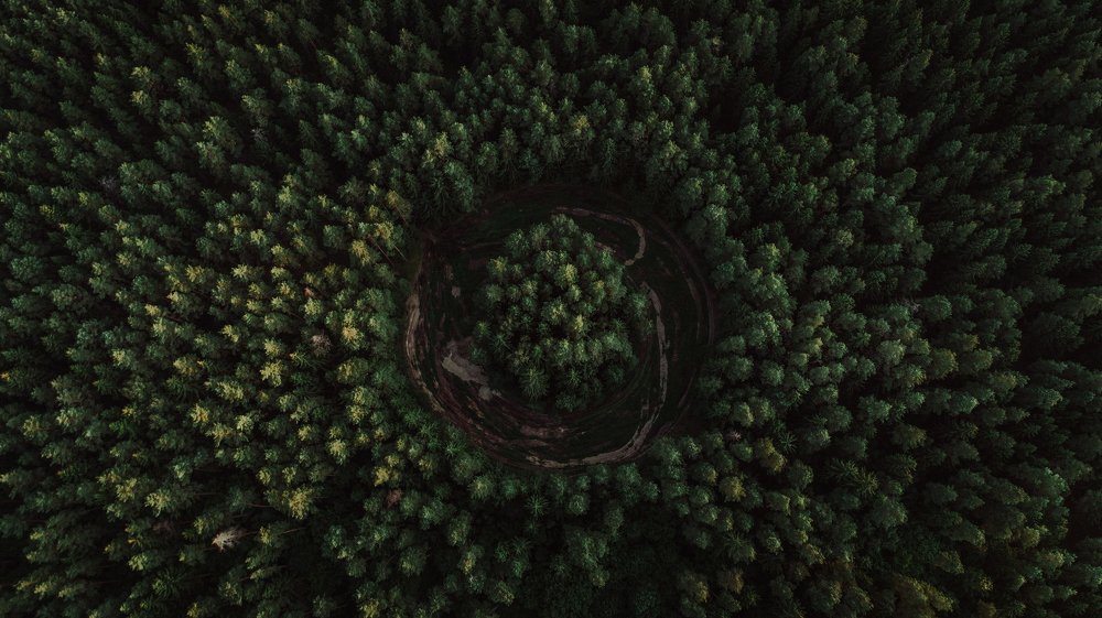 Photograph by Егор Хмелевский