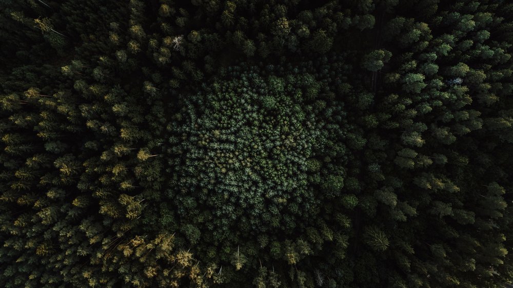 Photograph by Егор Хмелевский