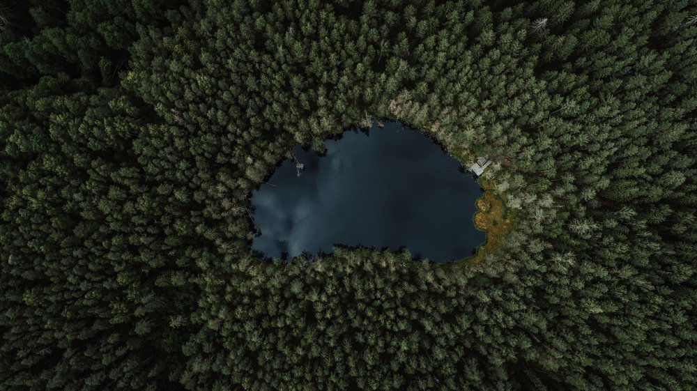 Photograph by Егор Хмелевский