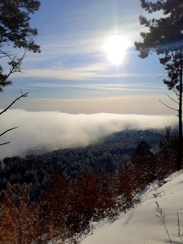 Утро туманное