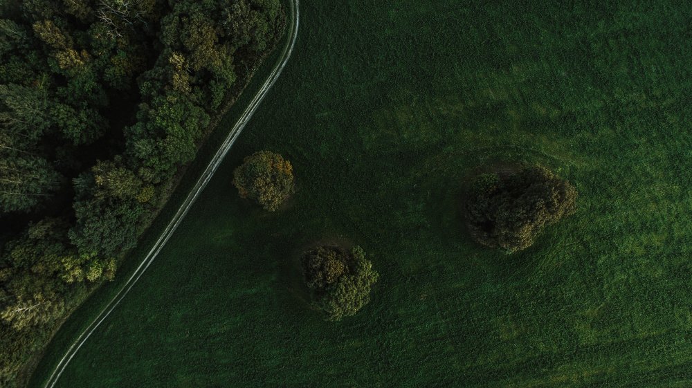 Photograph by Егор Хмелевский