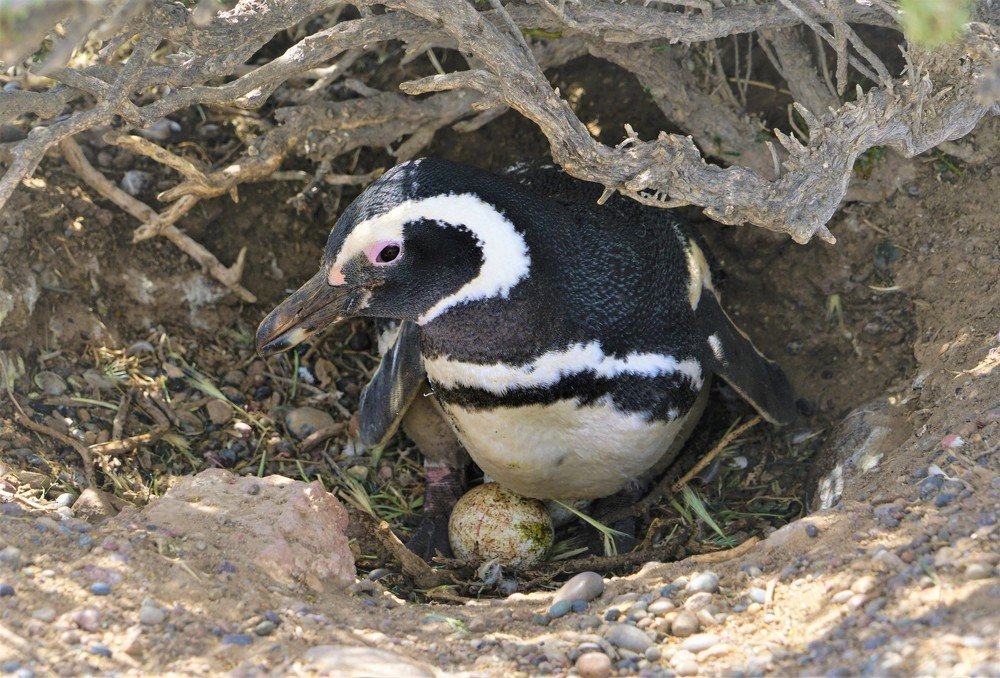 Photograph by Karina Elena Bergagna