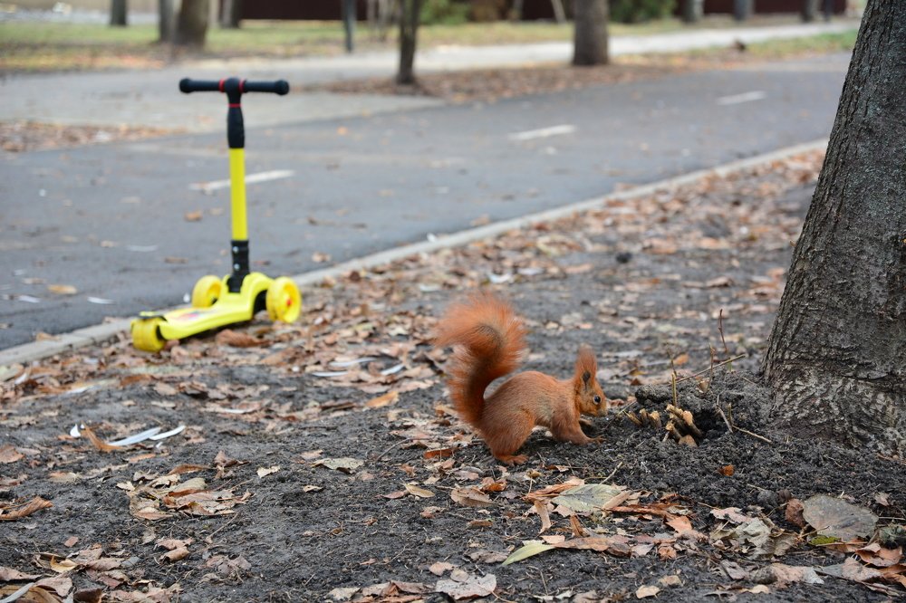 Photograph by Сергей Кривоносов