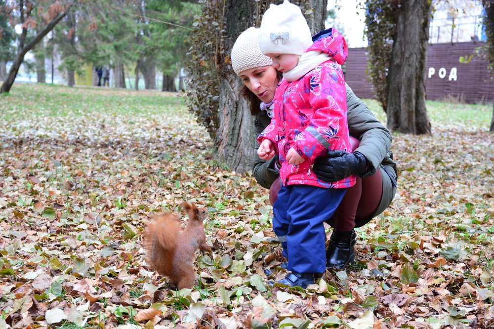 Photograph by Сергей Кривоносов