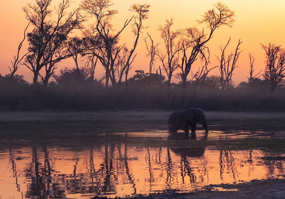 Photograph by THEODORE MATTAS