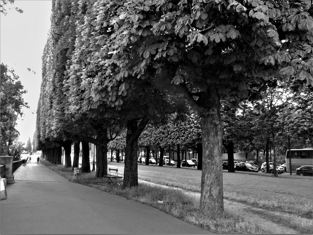 Photograph by Rosângela Verdi