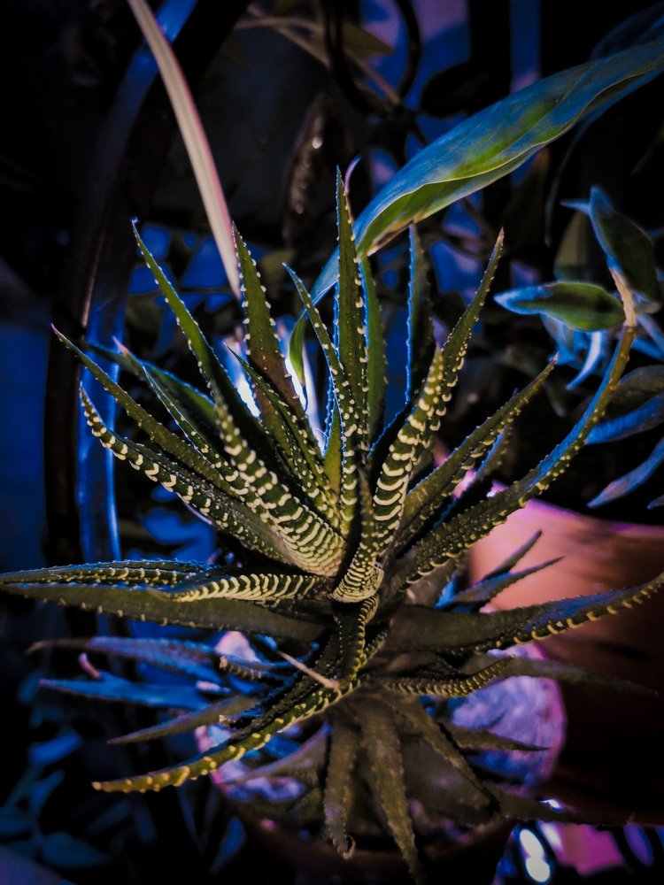 Photograph by Yuriy Kim