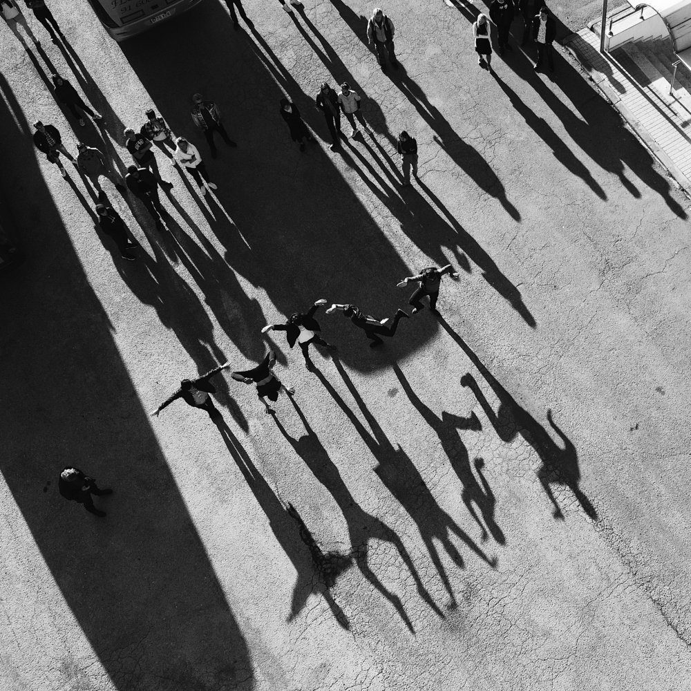 the shadows of my friends