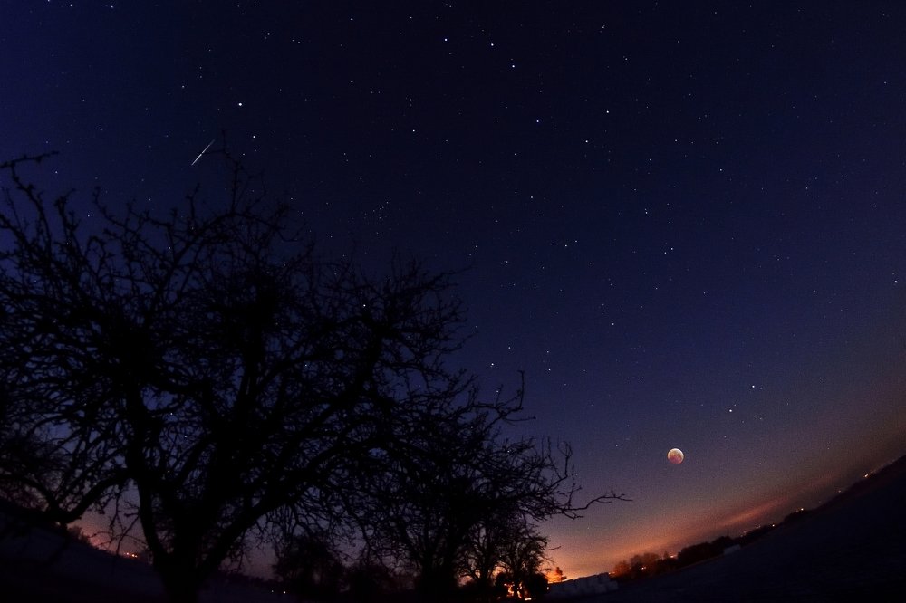 Photograph by Jan Musil