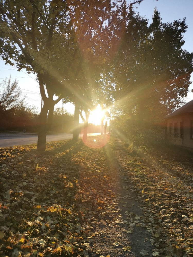 Photograph by Максим Гоголев