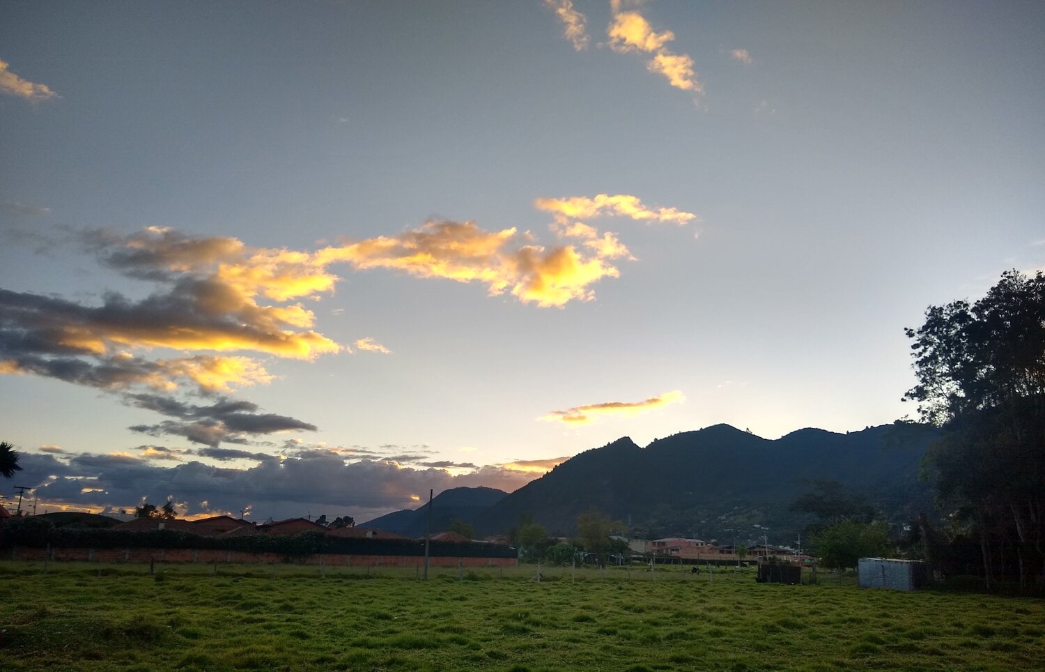 Photo #3987887