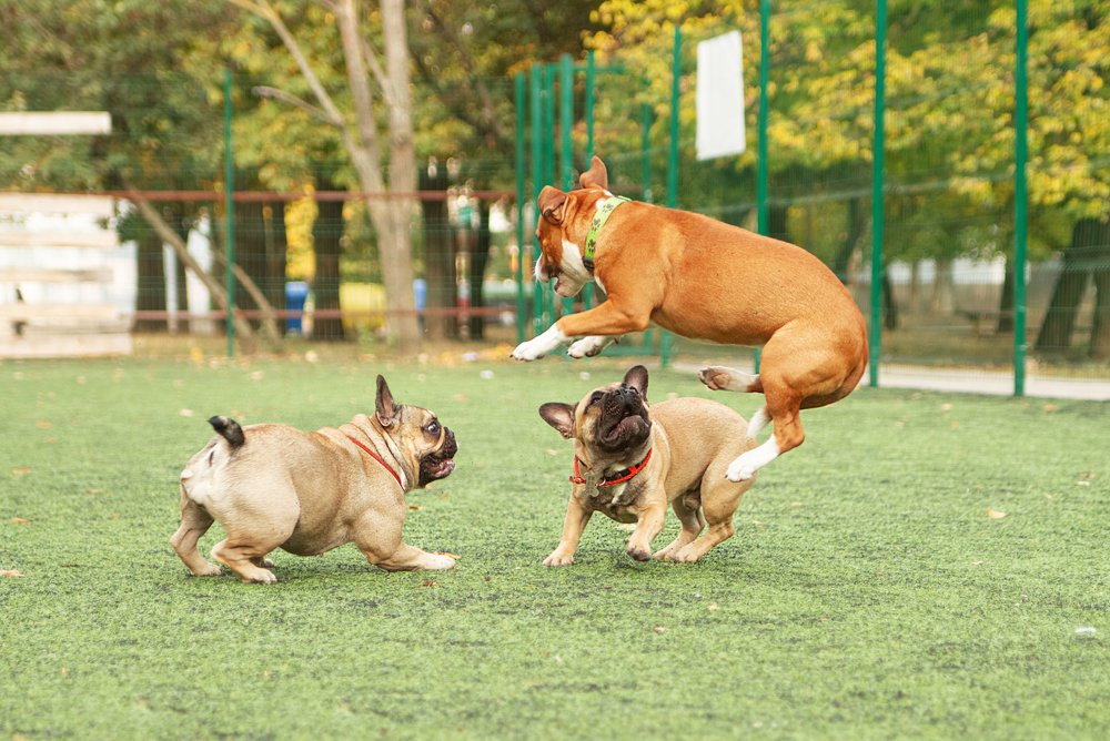 Photograph by Титаренко Ольга