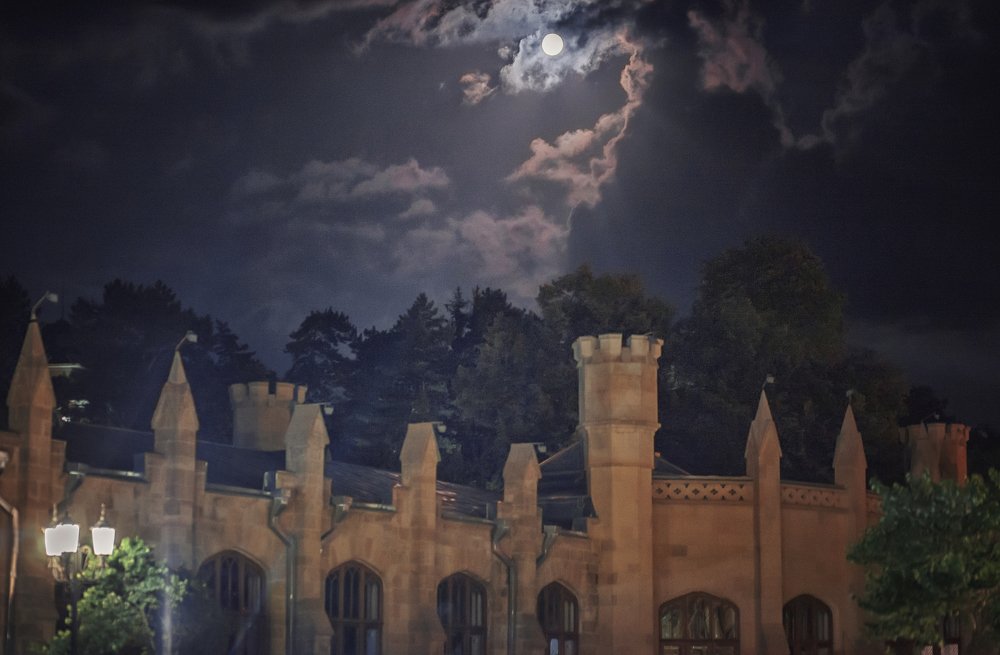 Photograph by Надежда Антонова