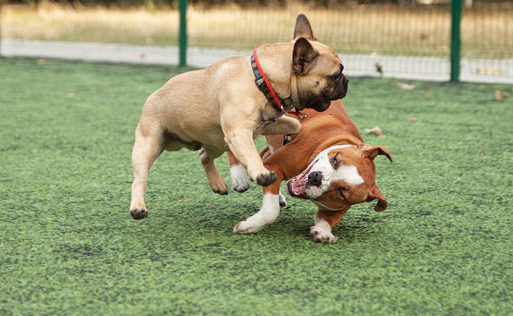 Photograph by Титаренко Ольга