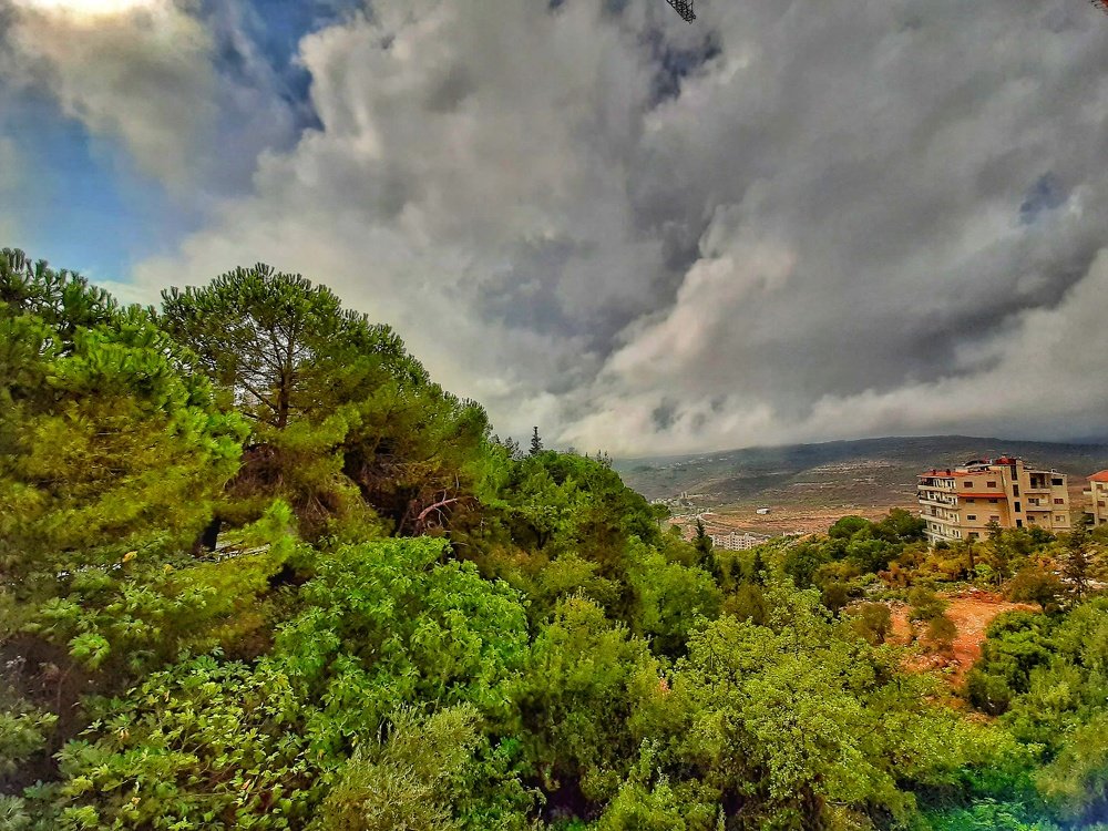 Photograph by Osama Khaleel