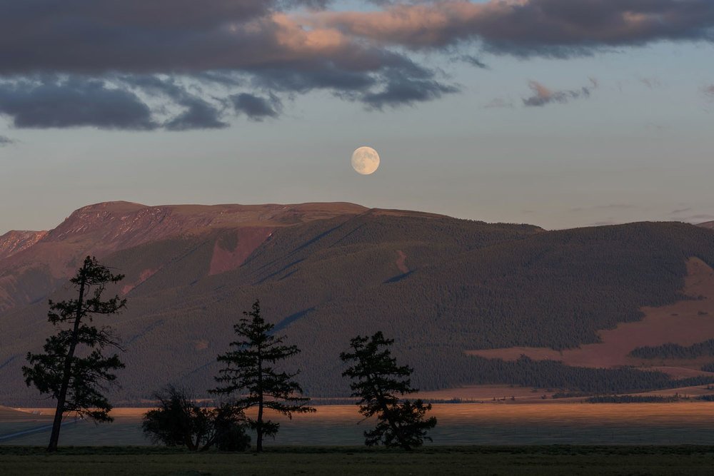 Лунный вечер