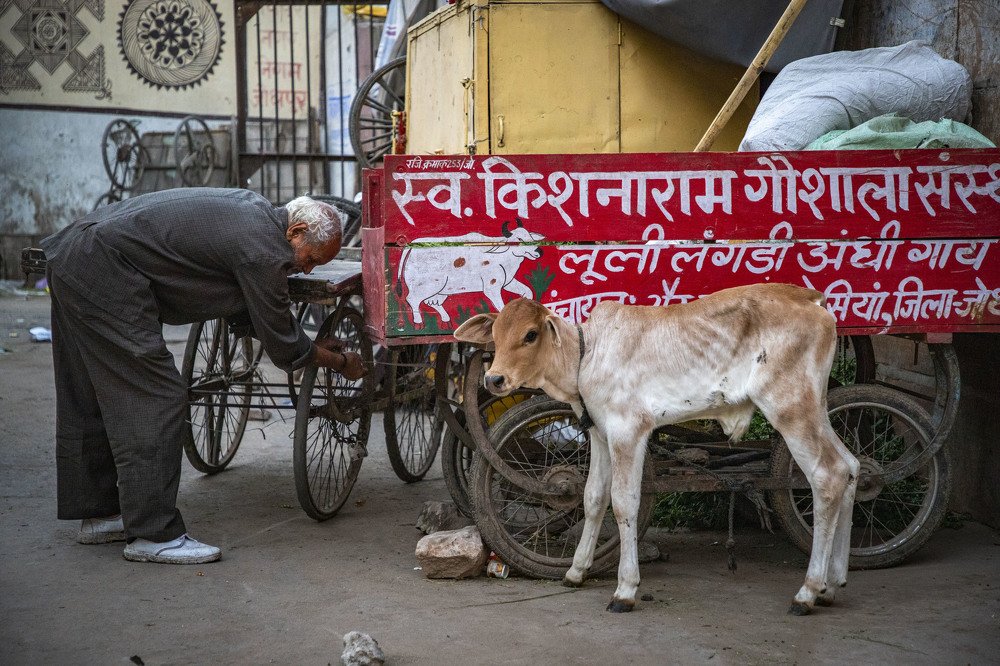 Photograph by Chee soon Lai