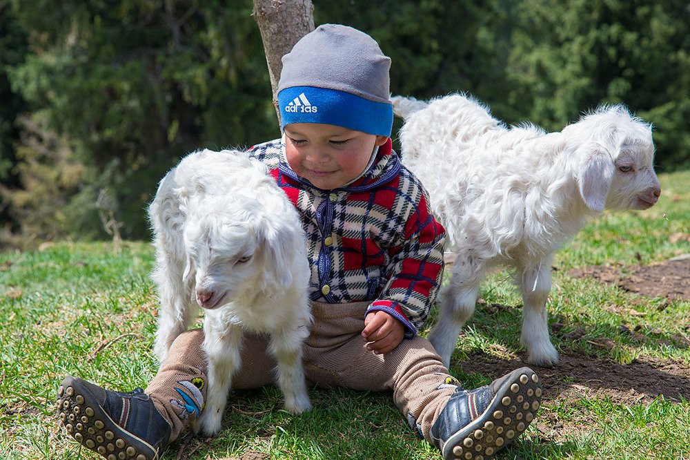 Фотография автора Павел Жигалов