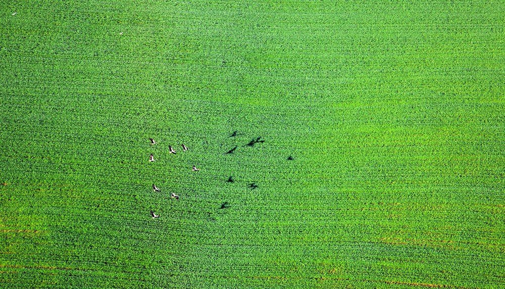 Фотография автора Павел Жигалов