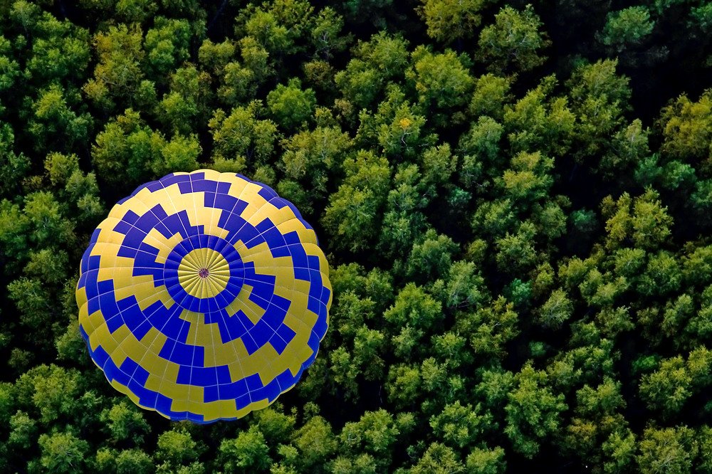 Фотография автора Павел Жигалов