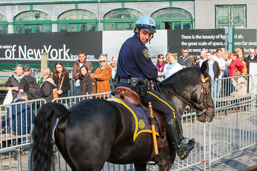 Фотография автора Павел Жигалов