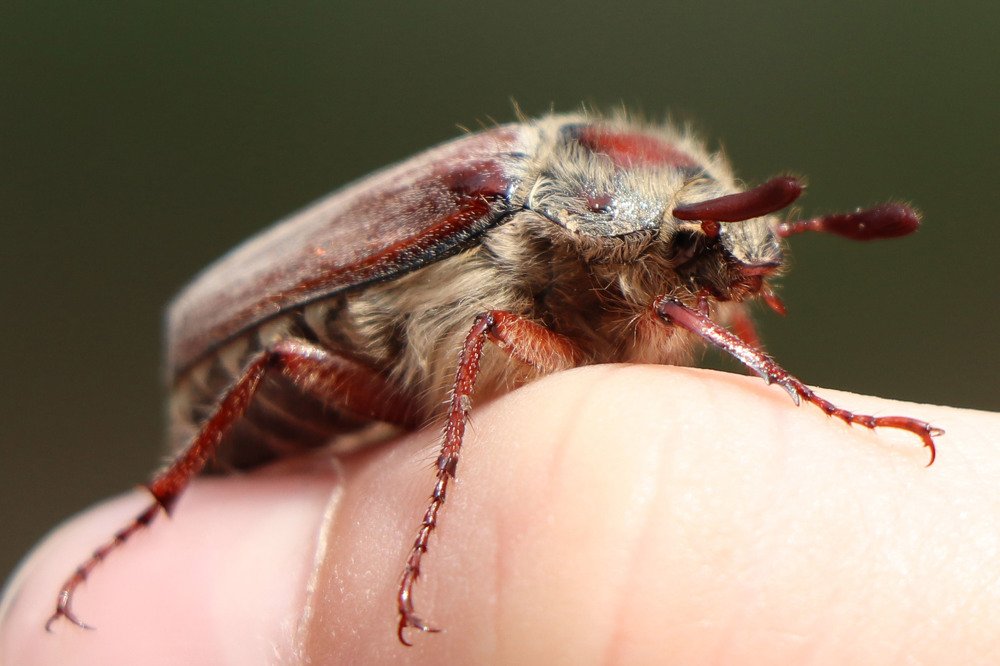 Photograph by Евгения