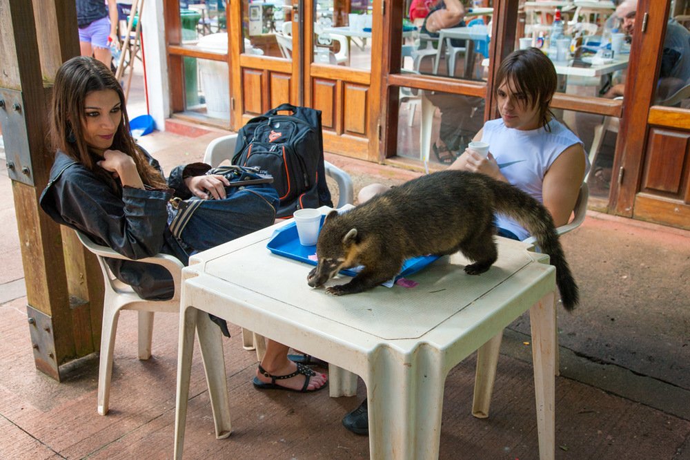 Фотография автора Павел Жигалов