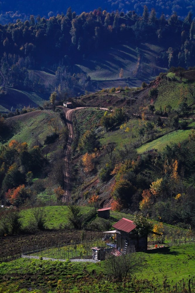 Beautiful autumn , iran