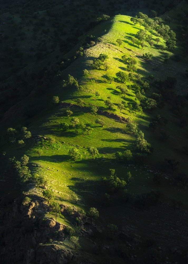 Photograph by Edris Khosravizadeh