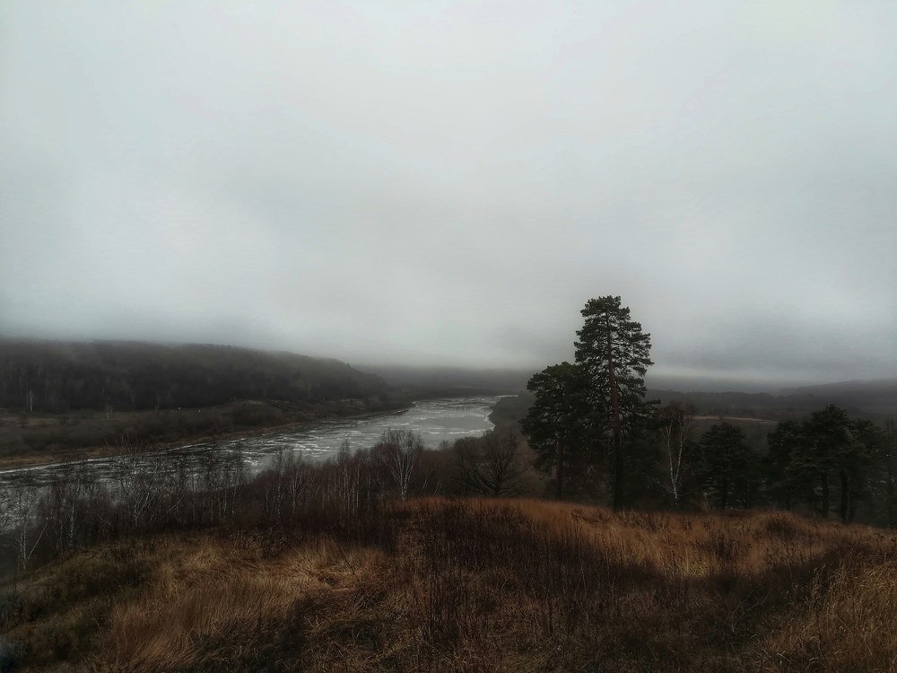 Мой Алексин