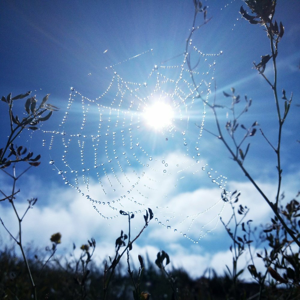 Photograph by Ирина Курьянова