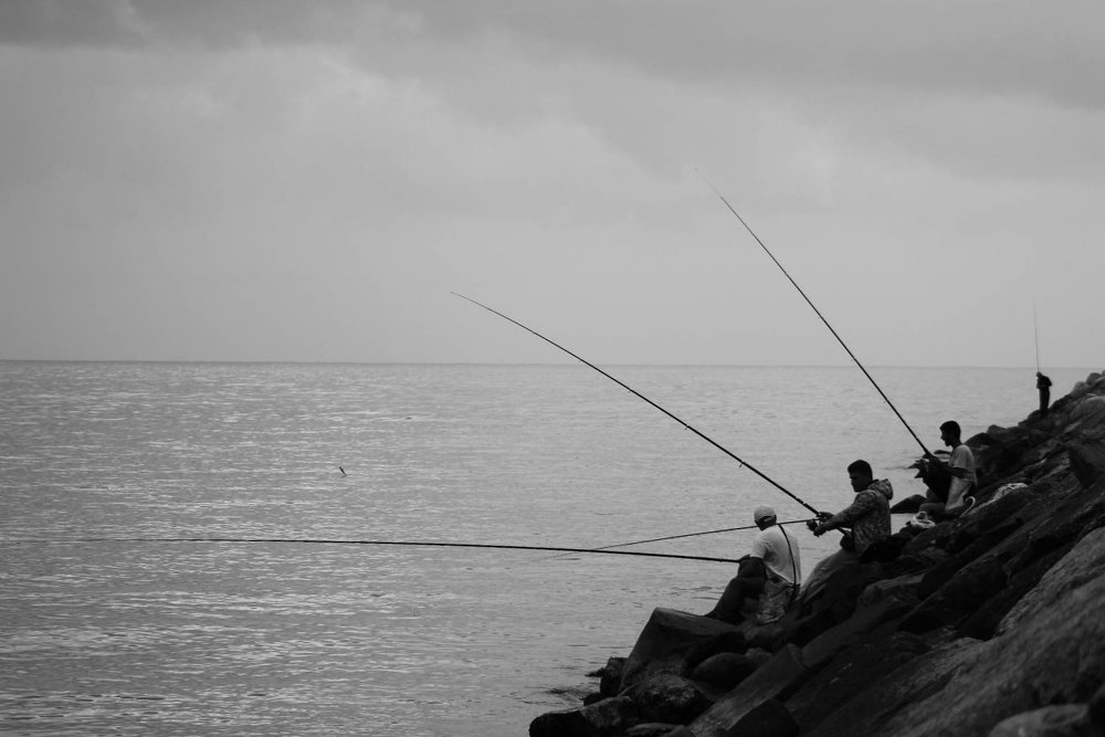 Photograph by Farzin Jafari