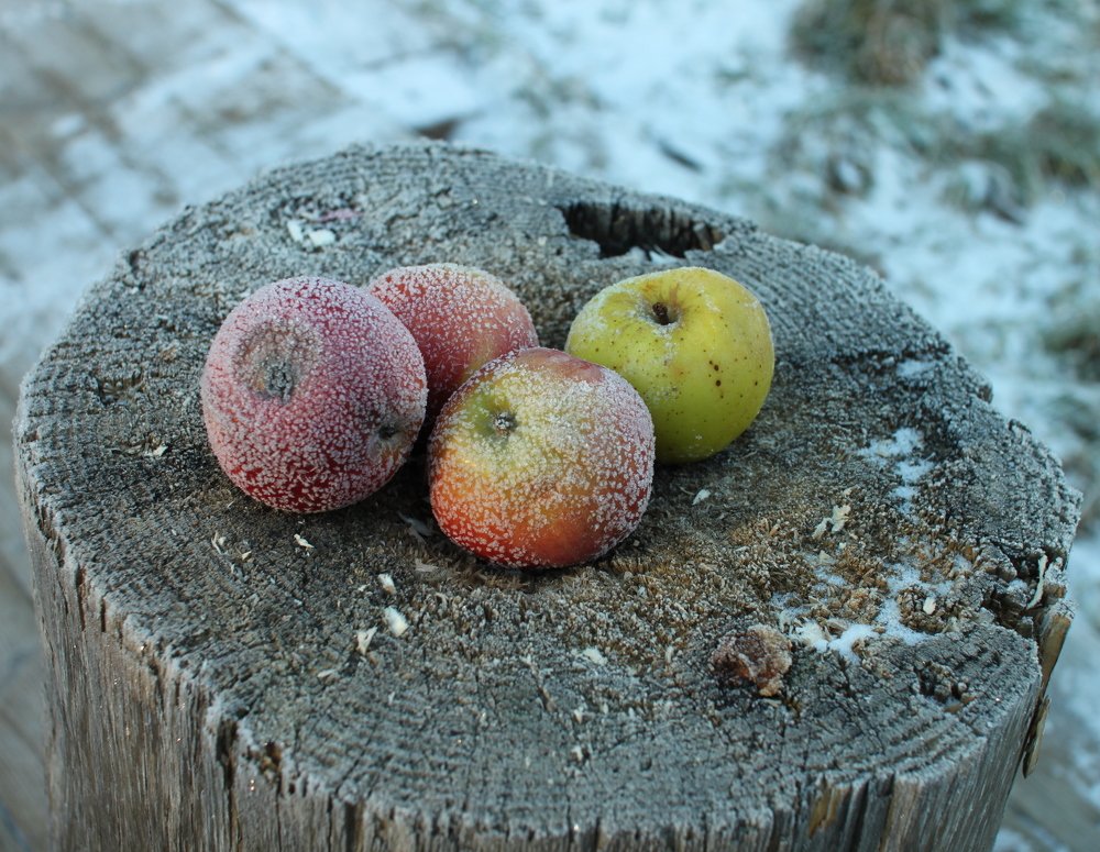 Photograph by Кирилл Сафонов