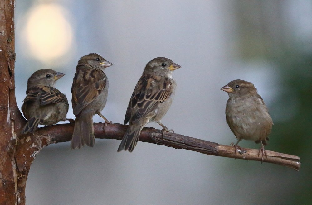 Инструктаж