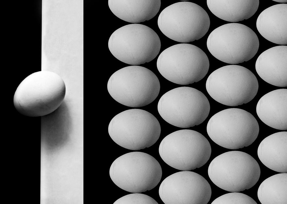 Photograph by pegah pouresmaeil