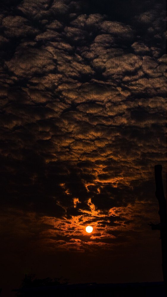 Photograph by SANCHARI SEN