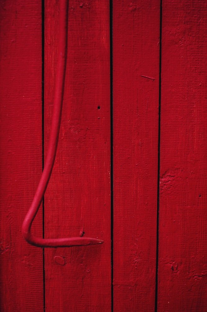 Photograph by Алиса Грюнвальд