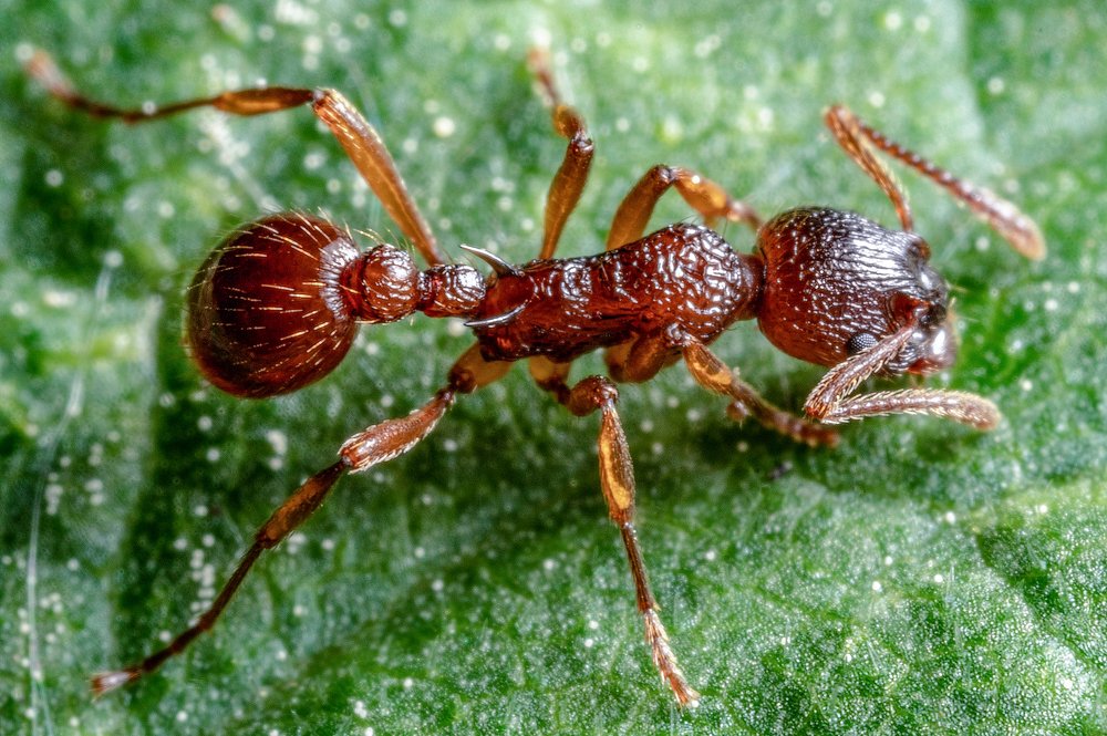 Фотография автора Виктор Максимов