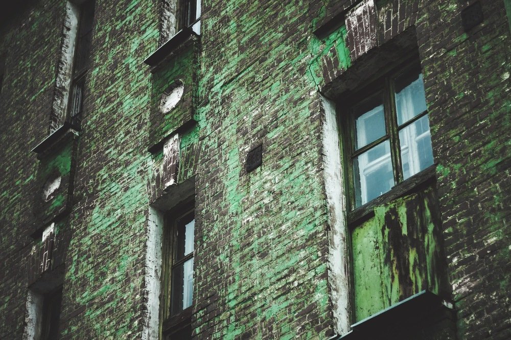 Photograph by Алиса Грюнвальд