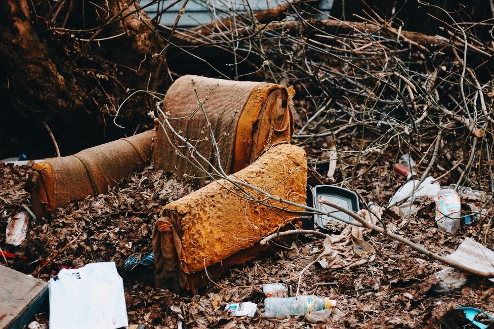 Photograph by Алиса Грюнвальд